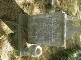 image of grave number 738243